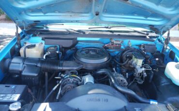 Chevrolet-cheyenne-1994-blue-7