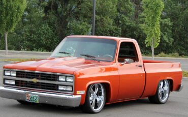 Chevrolet-ck-pickup-12-ton-nominal-1986-18