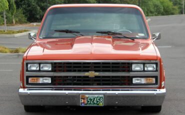 Chevrolet-ck-pickup-12-ton-nominal-1986-19