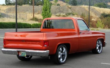 Chevrolet-ck-pickup-12-ton-nominal-1986-3