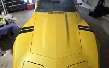 Chevrolet-corvette-1976-11