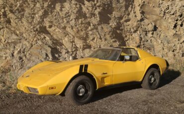 Chevrolet-corvette-1976-4