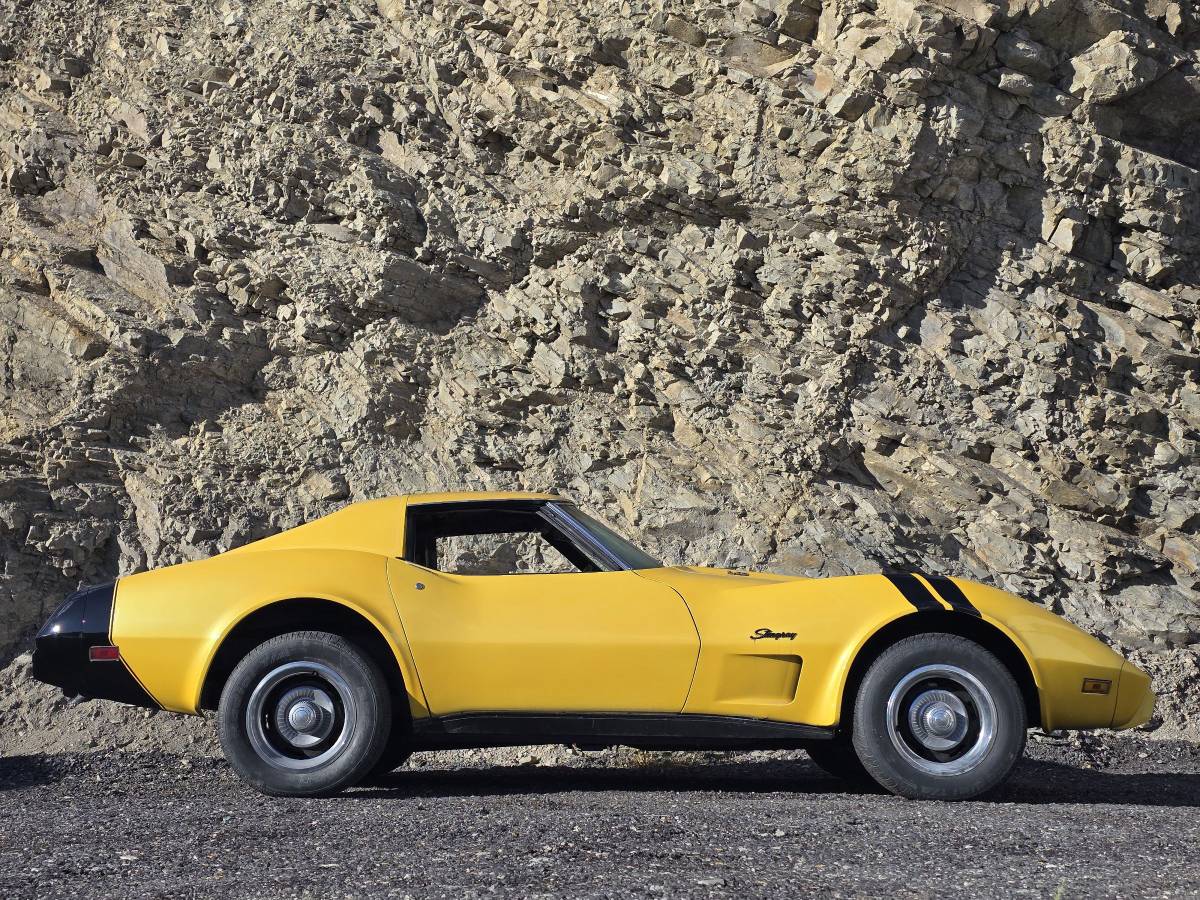 Chevrolet-corvette-1976-8