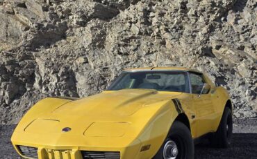 Chevrolet-corvette-1976-9
