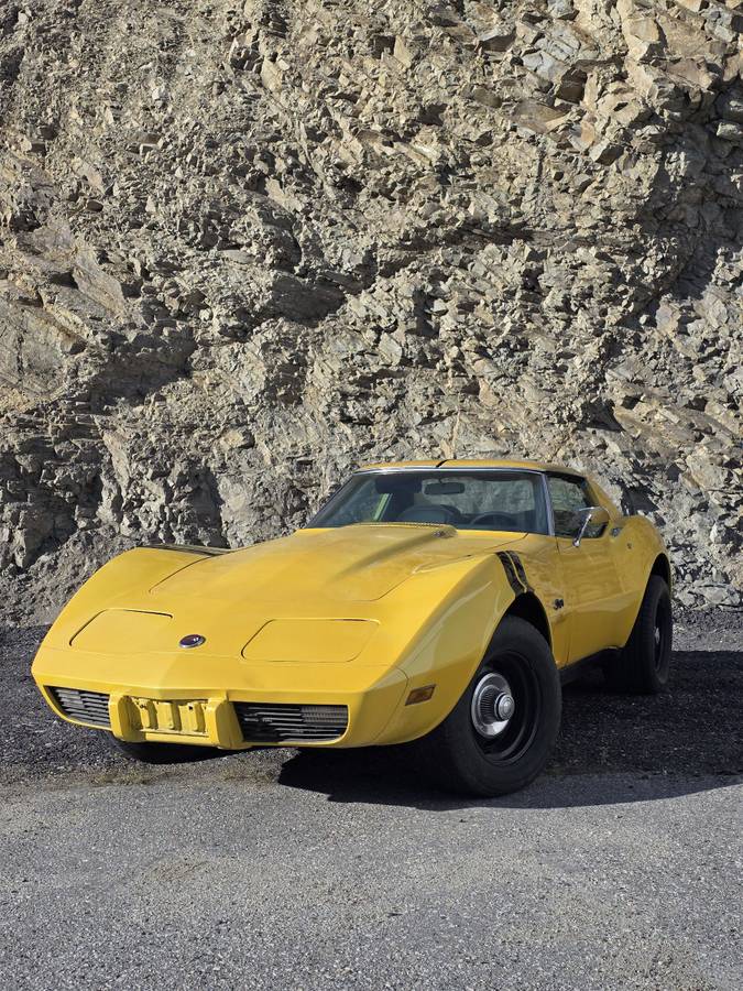 Chevrolet-corvette-1976-9