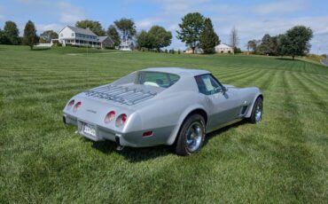 Chevrolet-corvette-1977-silver-4