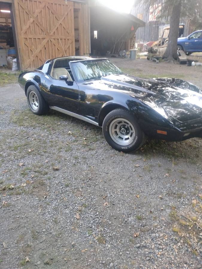 Chevrolet-corvette-1978-black-3
