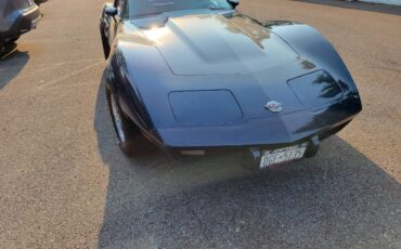 Chevrolet-corvette-1978-blue-4