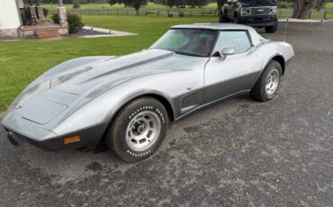Chevrolet-corvette-1978-silver-2