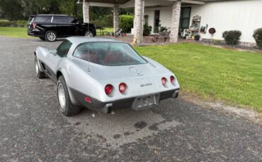 Chevrolet-corvette-1978-silver-3