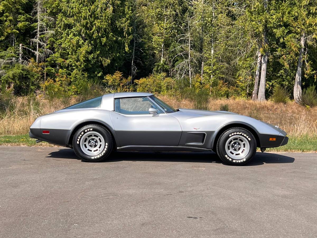Chevrolet-corvette-1978-silver-5