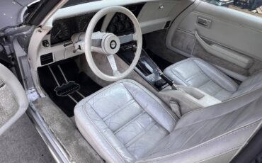 Chevrolet-corvette-1978-silver-7