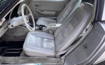 Chevrolet-corvette-1978-silver-8