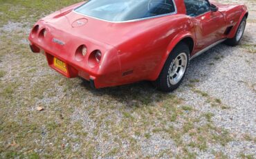 Chevrolet-corvette-1979-10
