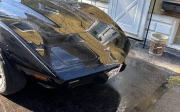 Chevrolet-corvette-1979-black-5