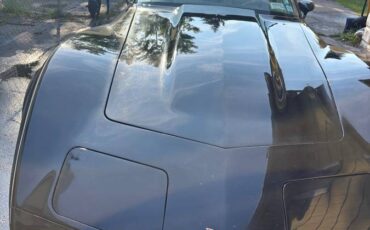 Chevrolet-corvette-1979-black-9