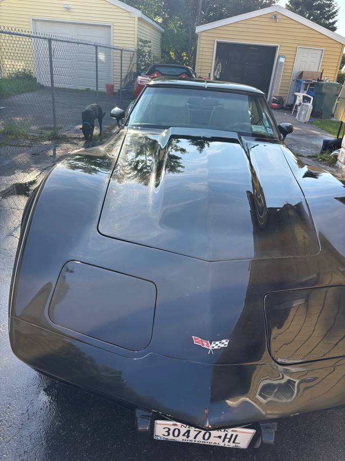 Chevrolet-corvette-1979-black-9