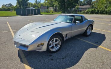Chevrolet-corvette-1979-silver-1