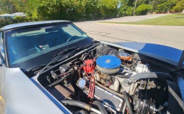 Chevrolet-corvette-1979-silver-14