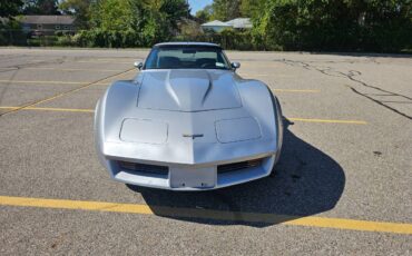 Chevrolet-corvette-1979-silver-16
