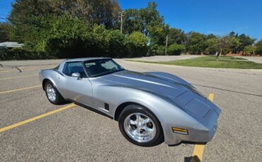 Chevrolet-corvette-1979-silver-18