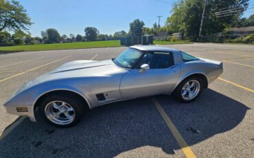 Chevrolet-corvette-1979-silver-19
