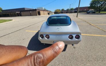 Chevrolet-corvette-1979-silver-3