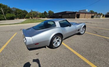 Chevrolet-corvette-1979-silver-5