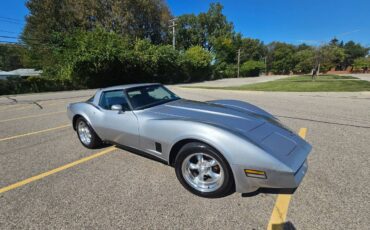 Chevrolet-corvette-1979-silver-6
