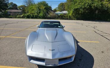 Chevrolet-corvette-1979-silver-8