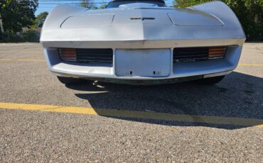 Chevrolet-corvette-1979-silver-9