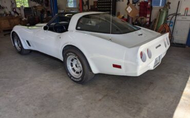Chevrolet-corvette-1981-2