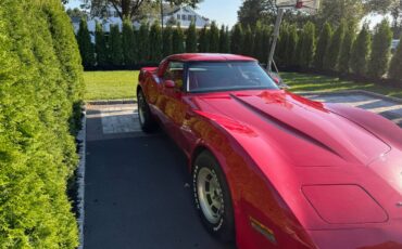 Chevrolet-corvette-1981-4