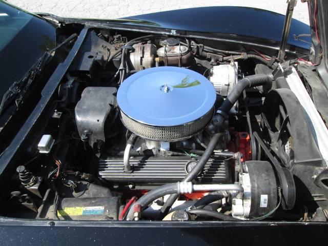Chevrolet-corvette-1981-black-13