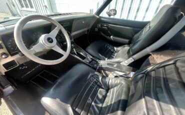 Chevrolet-corvette-1981-grey-10