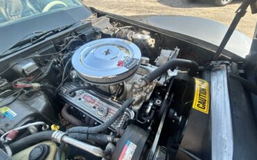 Chevrolet-corvette-1981-grey-13