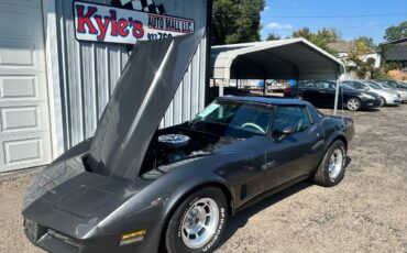Chevrolet-corvette-1981-grey-14