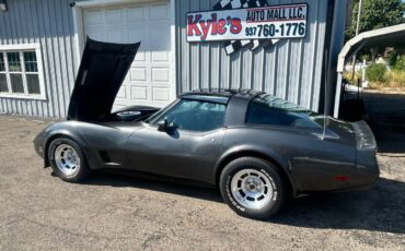 Chevrolet-corvette-1981-grey-15