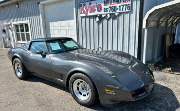 Chevrolet-corvette-1981-grey-2