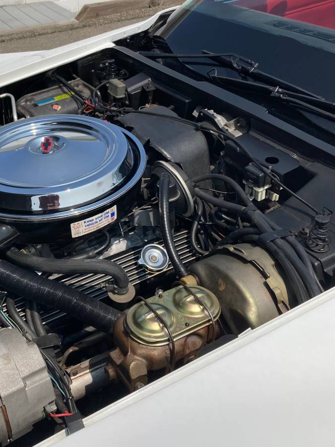 Chevrolet-corvette-1981-white-8