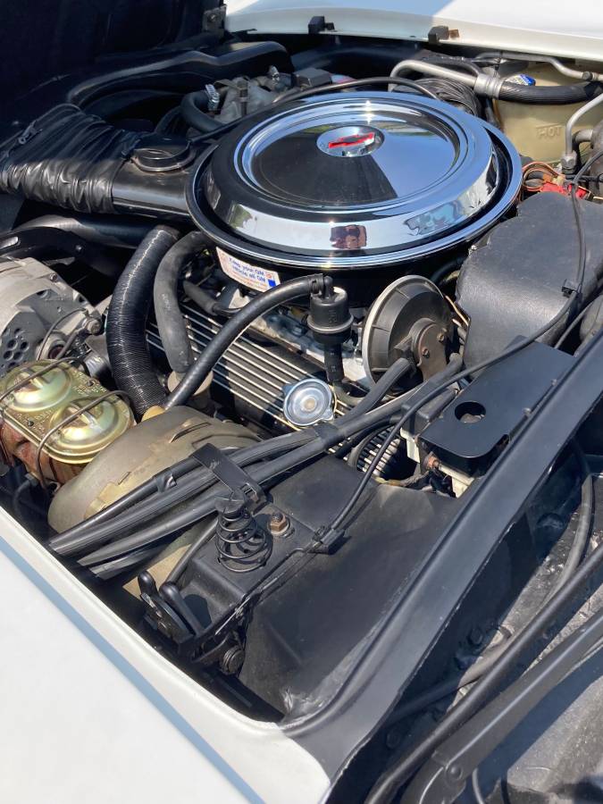 Chevrolet-corvette-1981-white-9