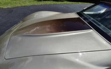 Chevrolet-corvette-1982-9