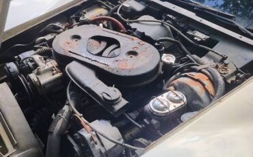 Chevrolet-corvette-1982-brown-2