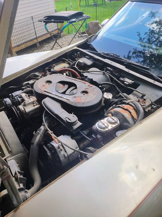 Chevrolet-corvette-1982-brown-2