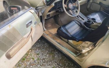 Chevrolet-corvette-1982-brown-4