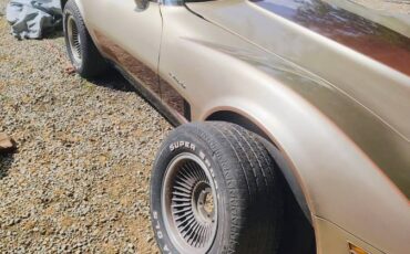 Chevrolet-corvette-1982-brown-5
