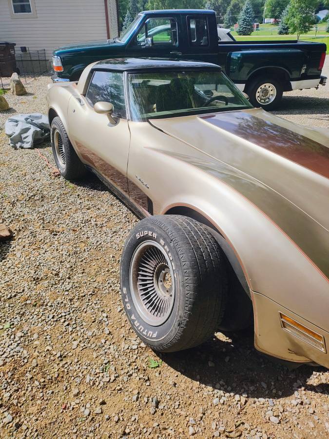 Chevrolet-corvette-1982-brown-5