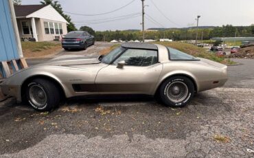Chevrolet-corvette-1982-grey-4