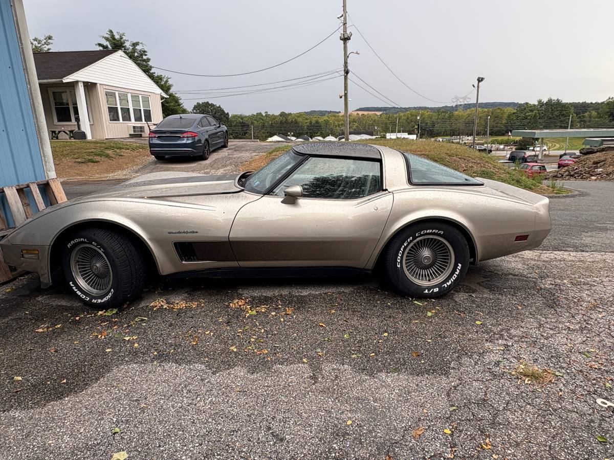 Chevrolet-corvette-1982-grey-4