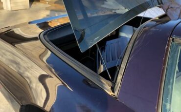 Chevrolet-corvette-1993-purple-5